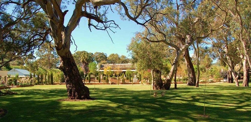 Jacobs Creek Retreat - Barossa Valley Guest House Tanunda Eksteriør bilde