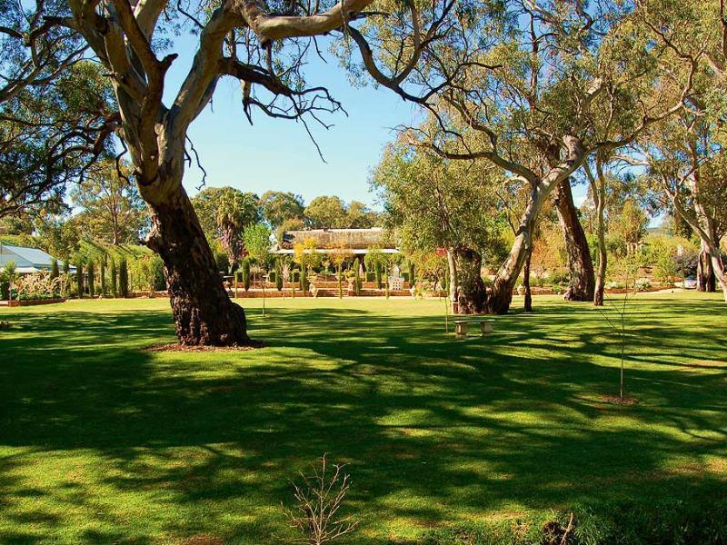 Jacobs Creek Retreat - Barossa Valley Guest House Tanunda Eksteriør bilde